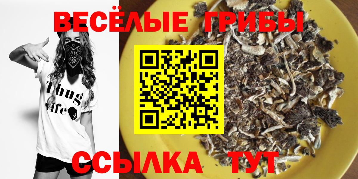 Галлюциногенные грибы мухоморы  Вход с VPN  Рузаевка 